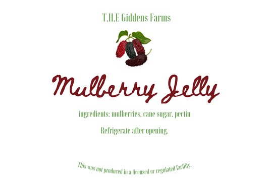 Mulberry Jelly