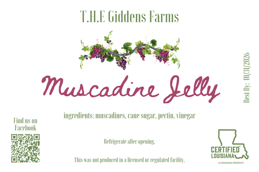 Muscadine Jelly